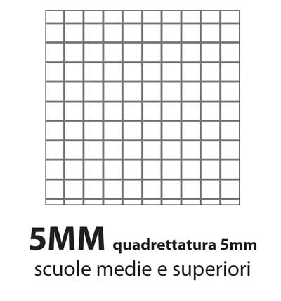 QUADERNO MAXI HT 20+1 80GR. 5MM - CONF. 10 PZ